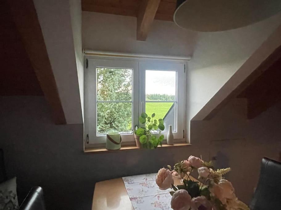 Panorama Saentisblick Appartement Hergatz Buitenkant foto