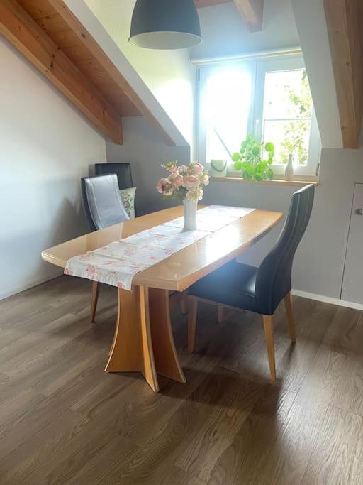 Panorama Saentisblick Appartement Hergatz Buitenkant foto