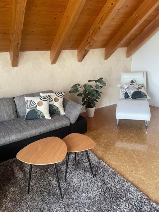 Panorama Saentisblick Appartement Hergatz Buitenkant foto