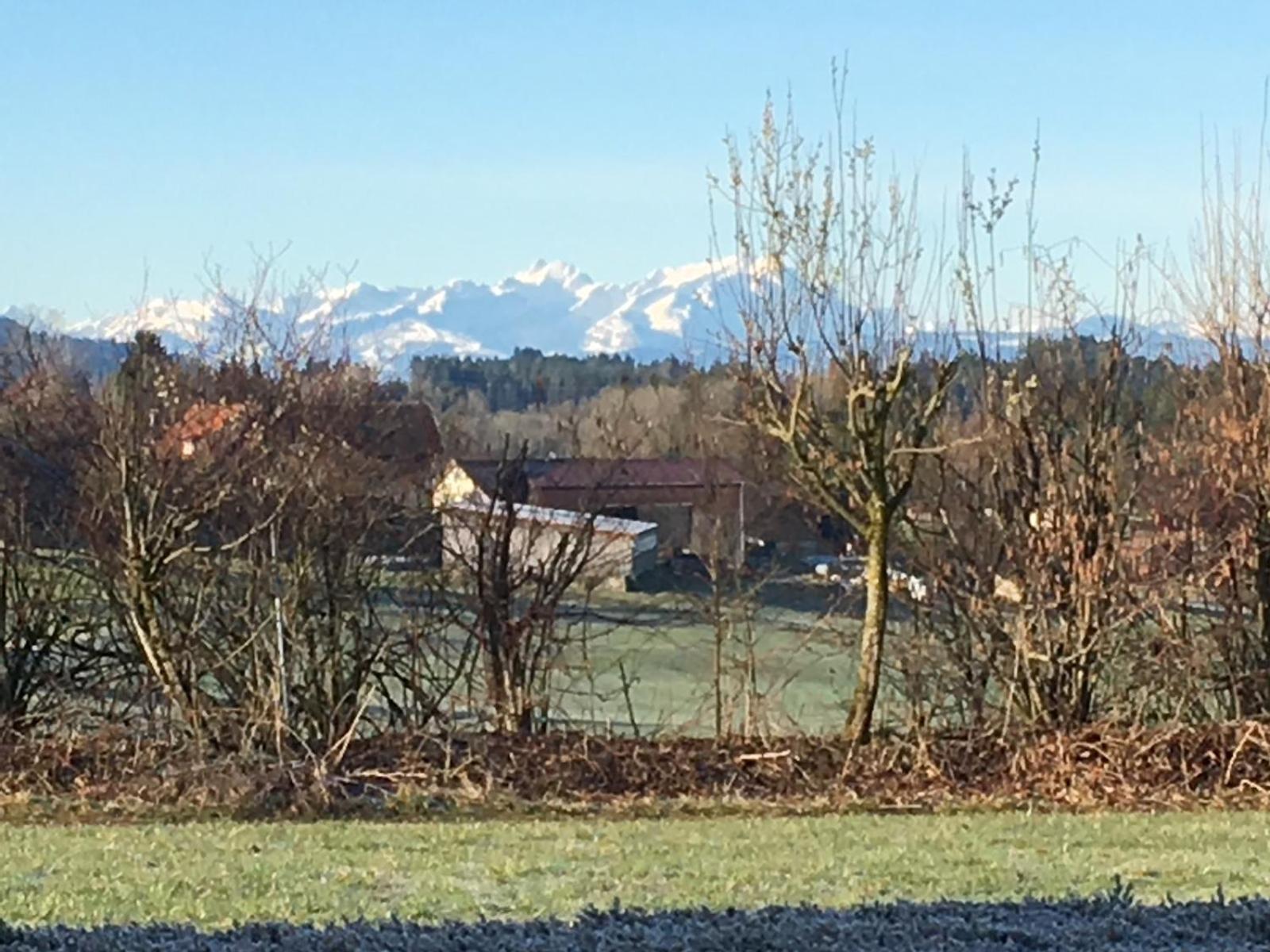 Panorama Saentisblick Appartement Hergatz Buitenkant foto